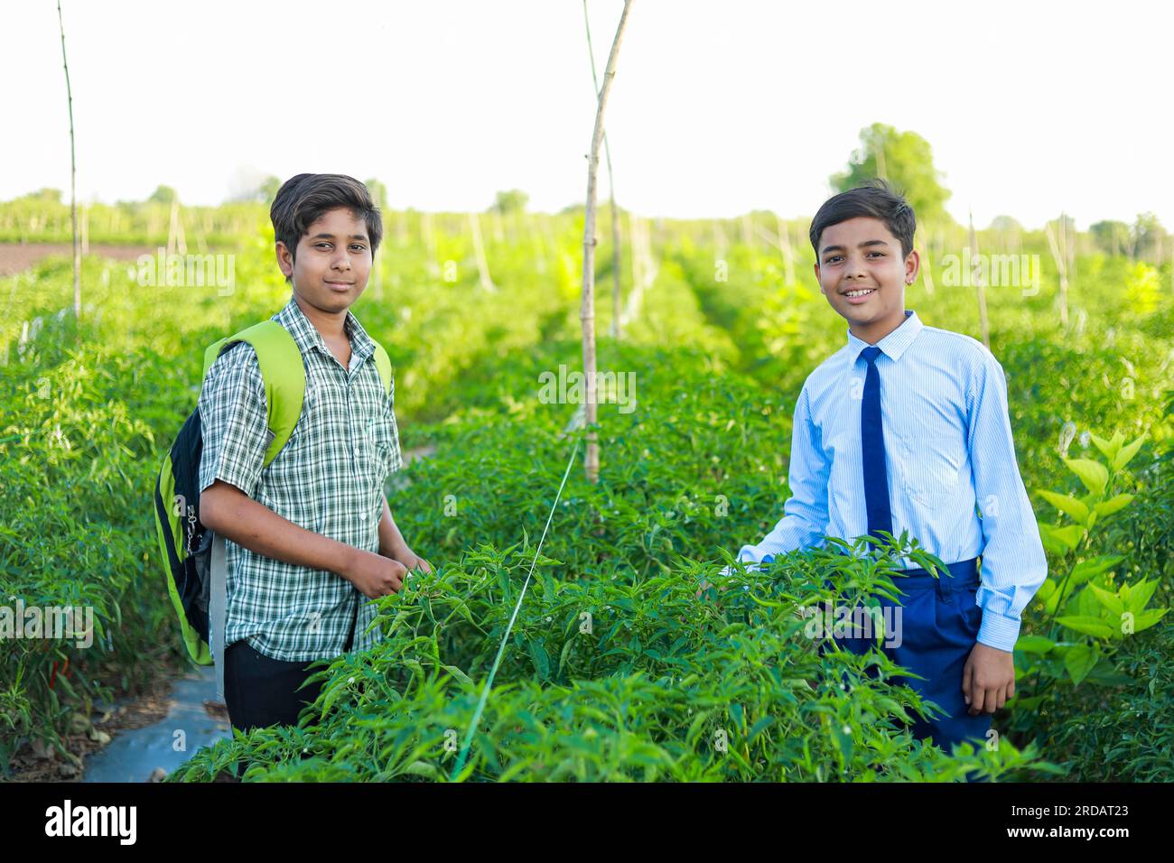 Indian school kids working in farm, happy farmer Stock Photo