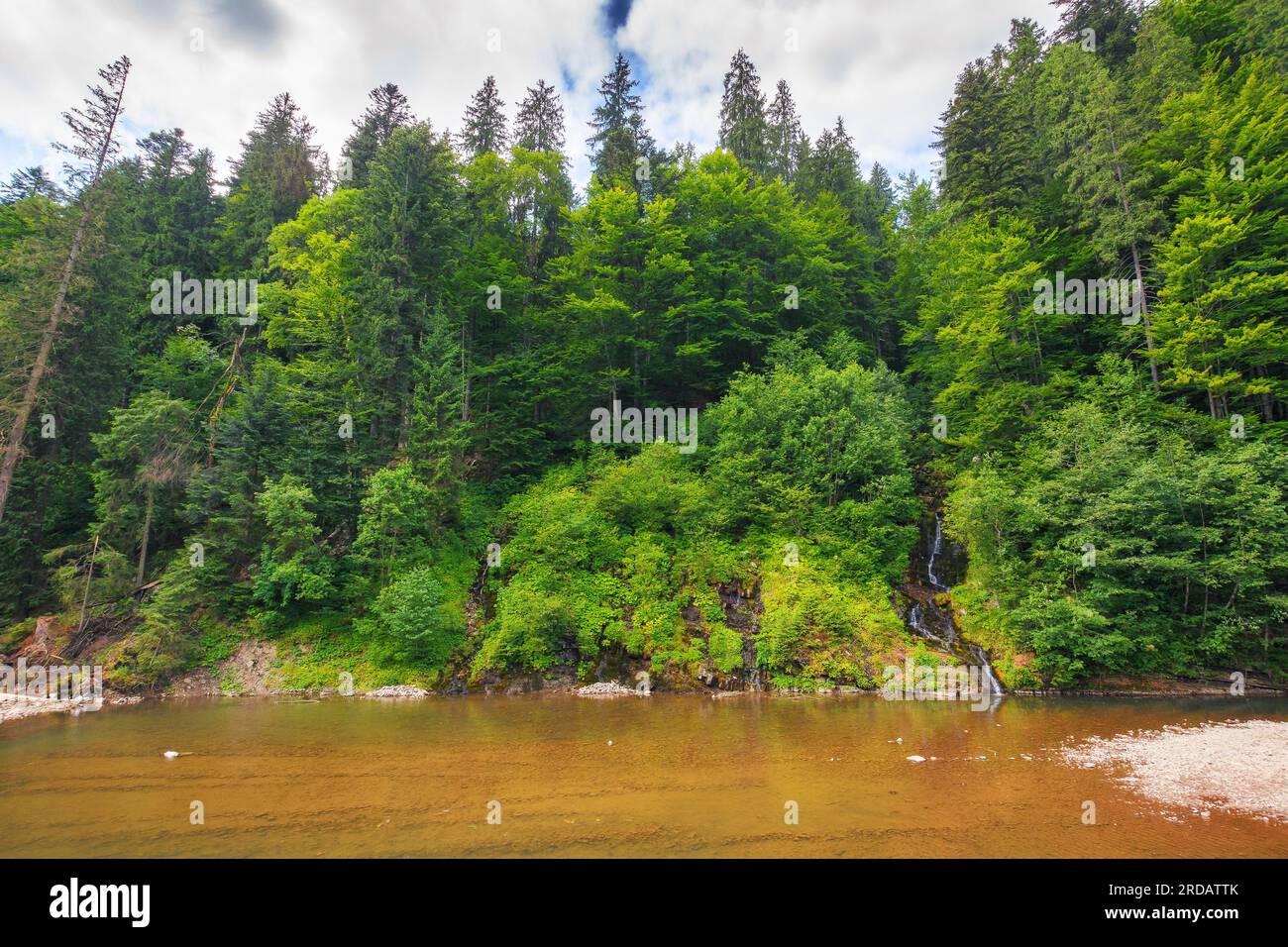 countryside scenery with shallow river. forest on the hill. drought and ecology disaster in carpathian region Stock Photo