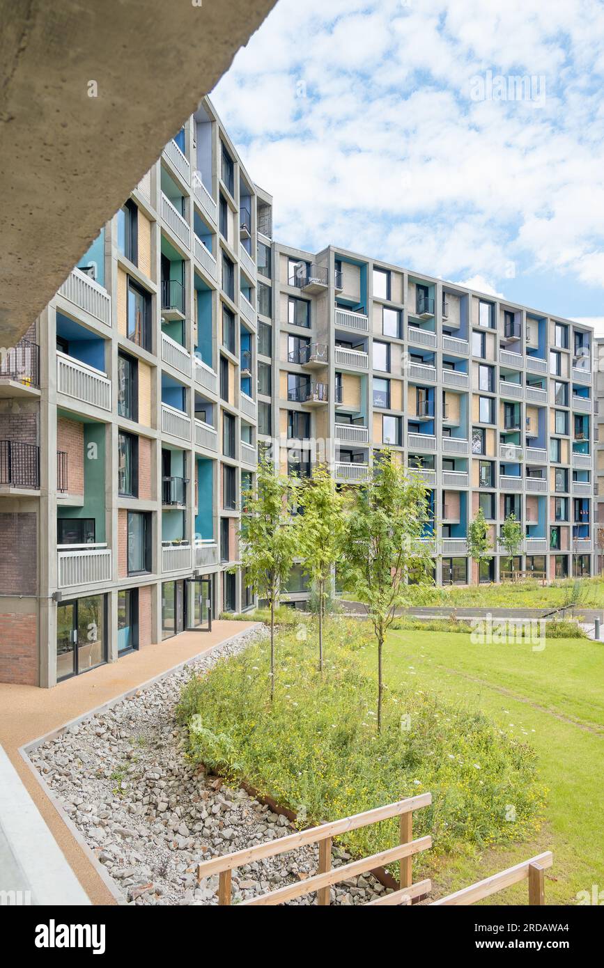 Sheffield, England Park Hill estate housing (Phase 2 renovation) by