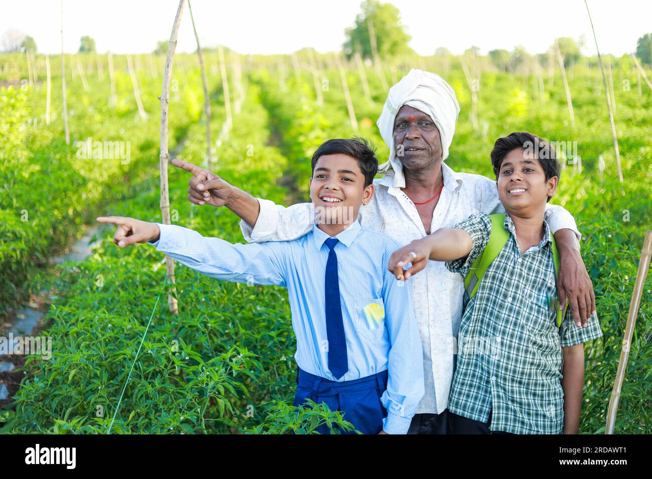 Indian three people standing in farm, farmer and his two son in farm