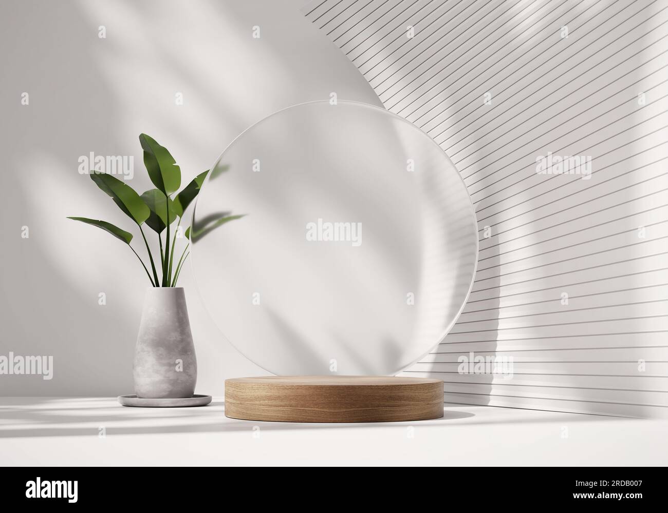 3D rendering platform podium with plant product presentation background ...