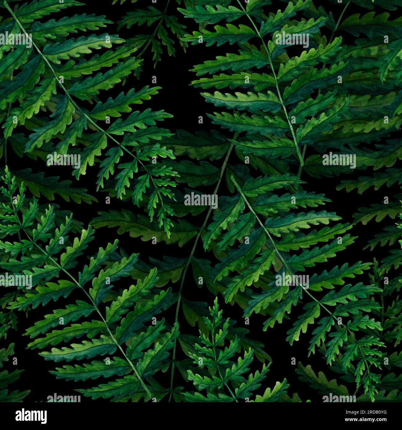 Seamless pattern fern watercolor hand painted illustration in green colors, greenery branch, twig, stem, forest plant isolated on black background for Stock Photo