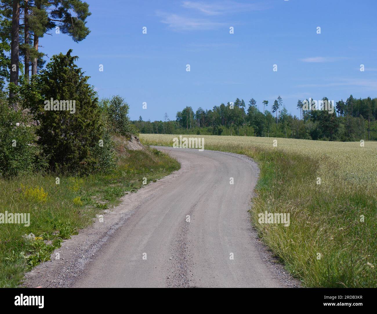 Rural road grassland freeway hi-res stock photography and images - Alamy