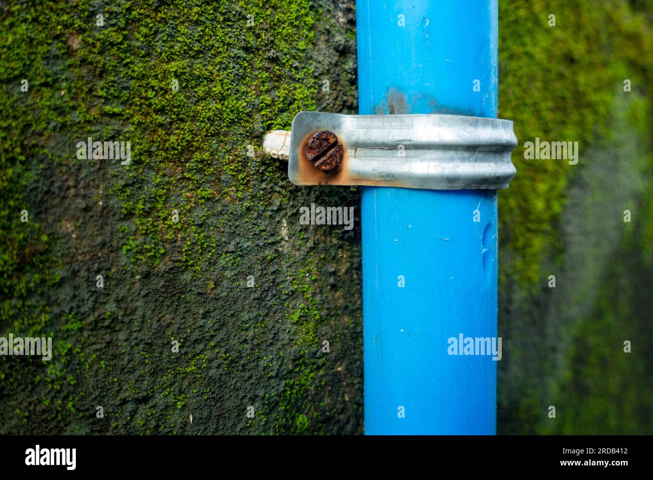A big blue plastic pipe secured on a weary wall with grouted clips. India. Stock Photo