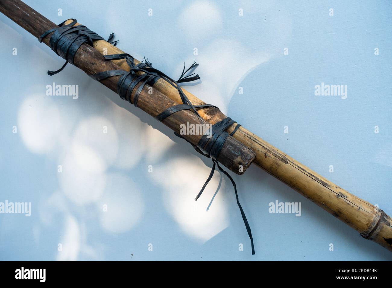 Two big bamboo poles tied up together with a nylon rope. India Stock Photo
