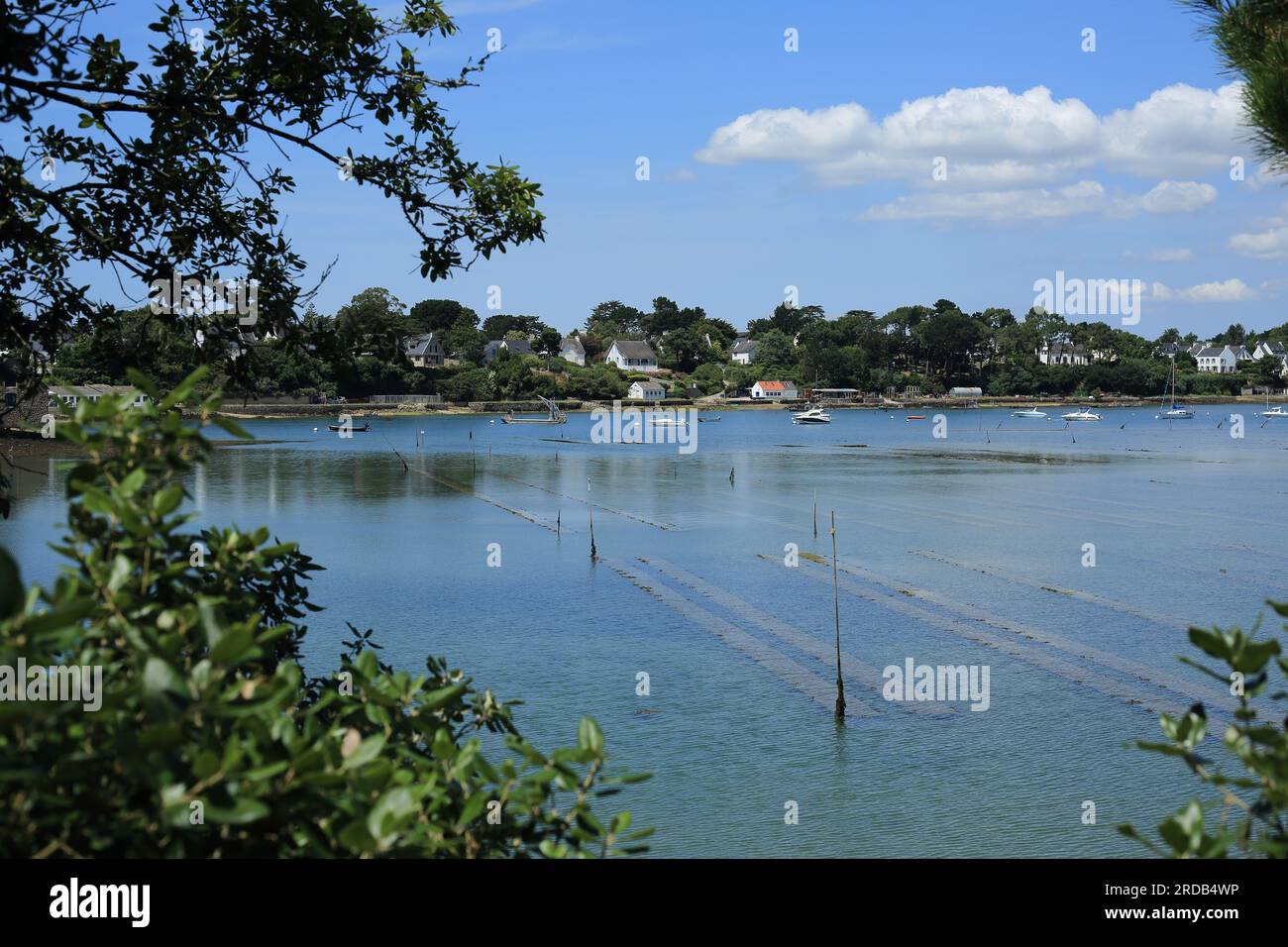 Low tide and oyster beds at Cimitere marin, Ile de Berder, Larmor Baden