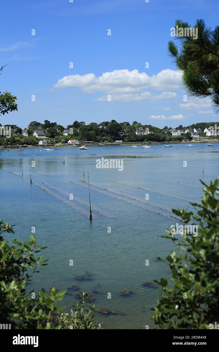 Cimitere marin hires stock photography and images Alamy