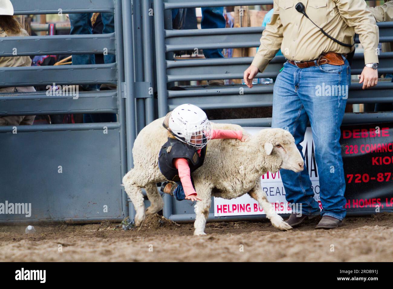 Sheep Rodeo Draw Kids riding sheep hi-res stock photography and images - Alamy