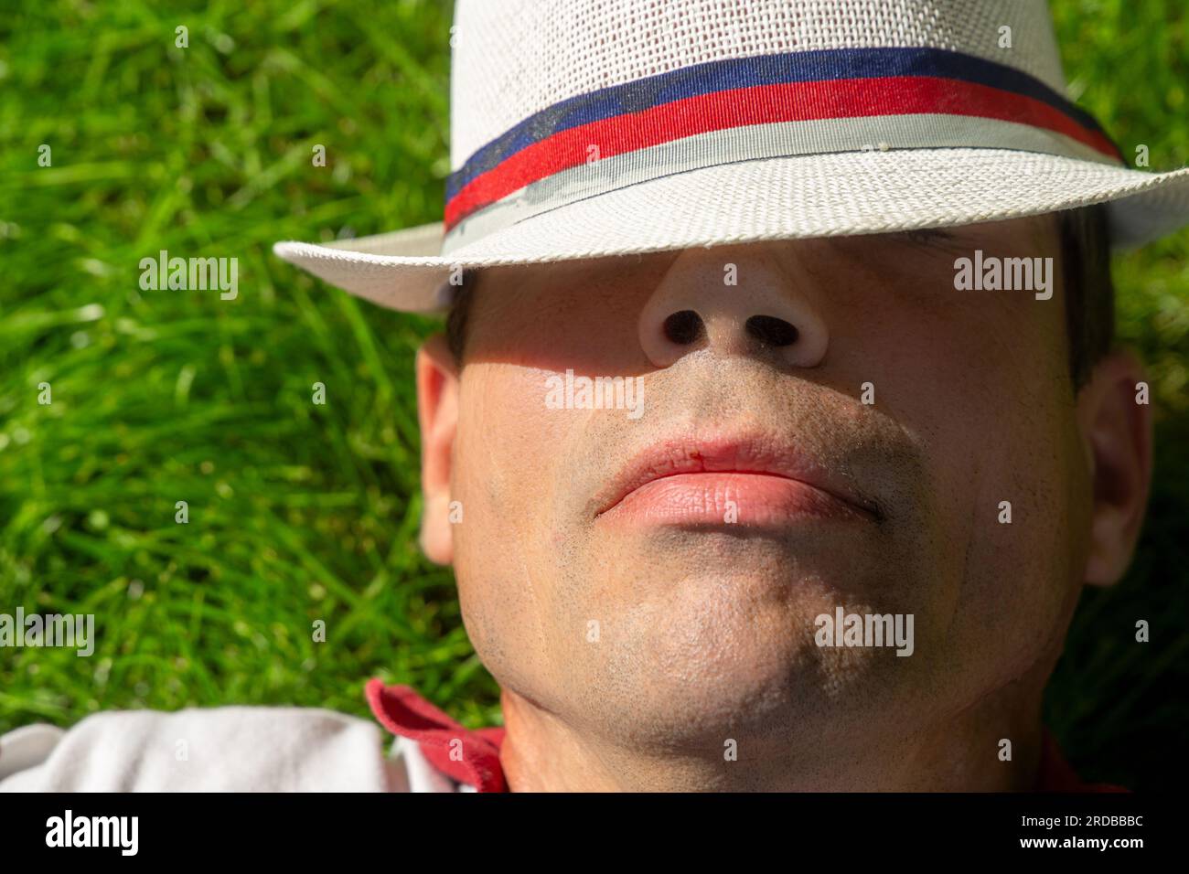 Symbol image Siesta Man lying in the grass with straw hat (model
