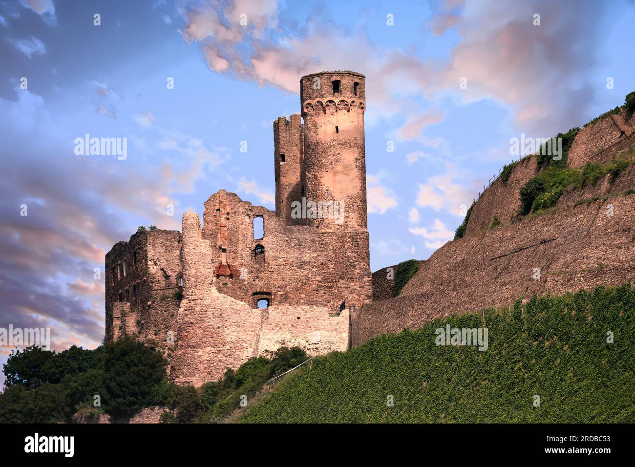 Ehrenfels Castle from the Rhine River in Germany Stock Photo - Alamy