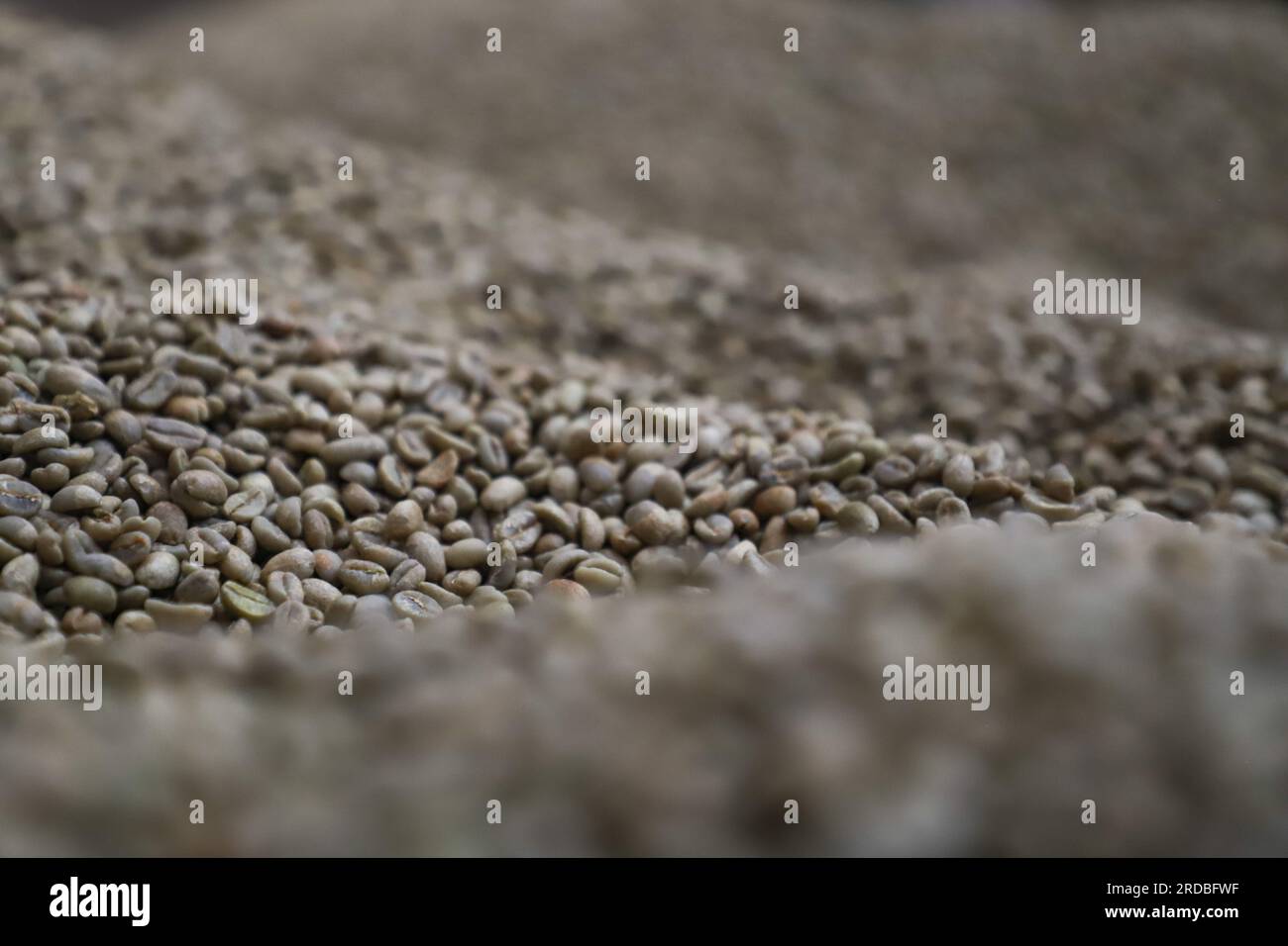 (230720) -- ADDIS ABABA, July 20, 2023 (Xinhua) -- This photo taken on July 1, 2023 shows coffee beans at Mullege Public Limited Company, a family-owned Ethiopian business engaged in coffee processing and export, in Addis Ababa, Ethiopia. China has held the position of Africa's largest trading partner for 14 consecutive years. Along the way, China and Africa collaboratively advance the development under the Belt and Road Initiative, opening up new avenues for cooperation.  African coffee, known for its high quality, has made its way into the lives of Chinese consumers. In 2022, the Gaoqiao Gra Stock Photo
