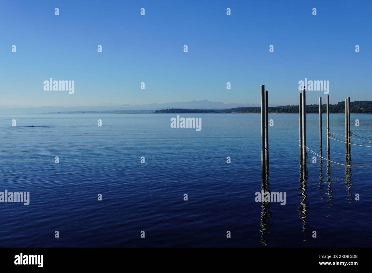 Early morning swim in Lake Constance Stock Photo