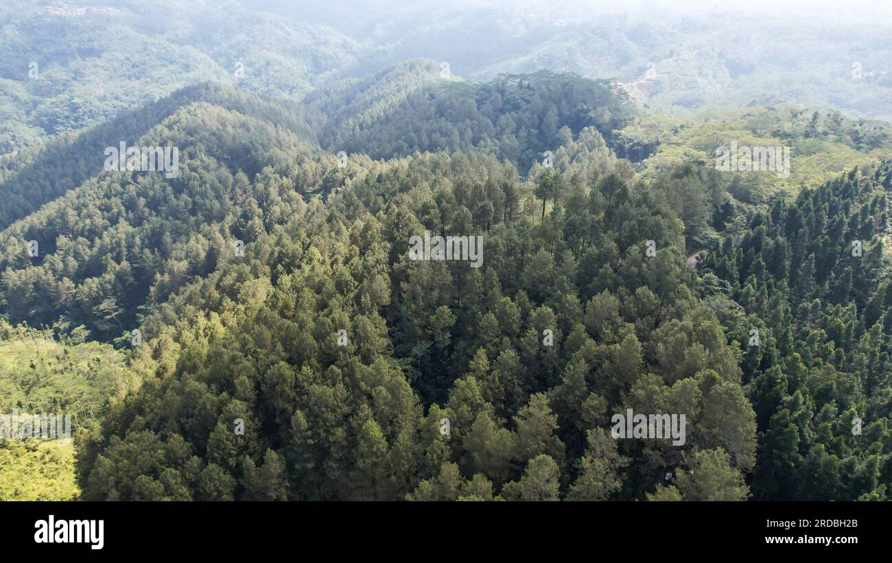 Aerial view of forested Wonosobo border line between dieng. Wonosobo ...