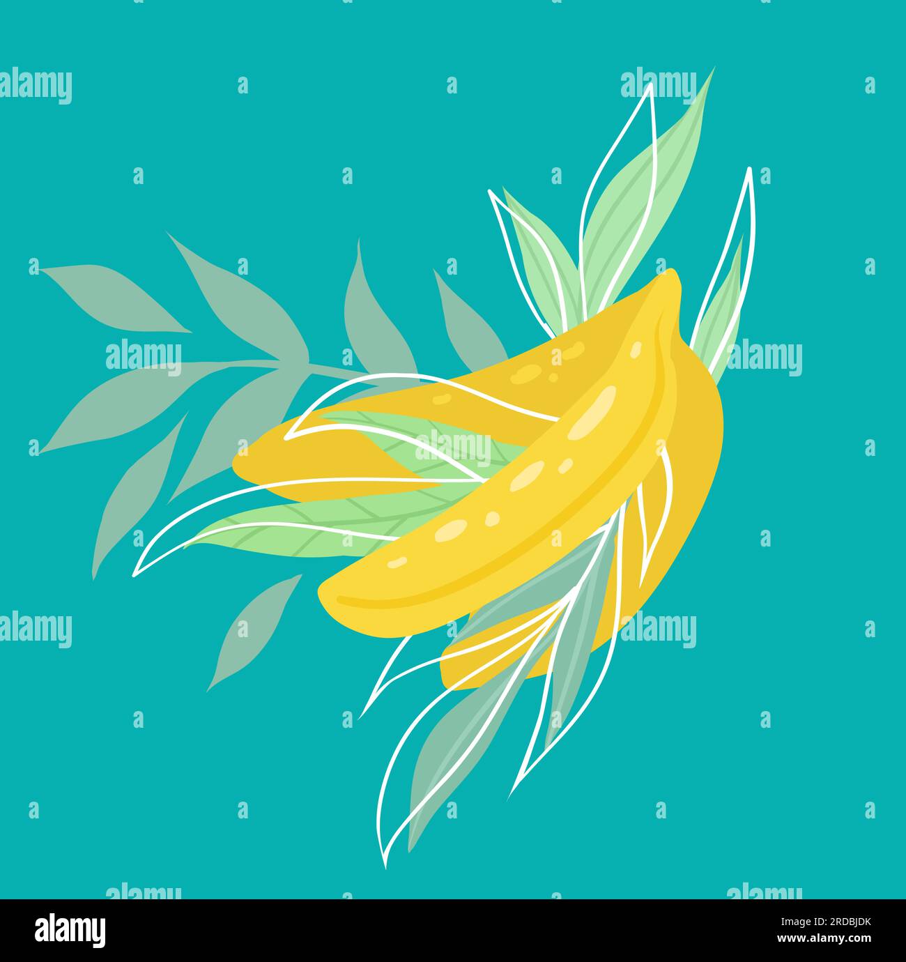 Vector flat illustration of a bunch of bananas and foliage on a ...