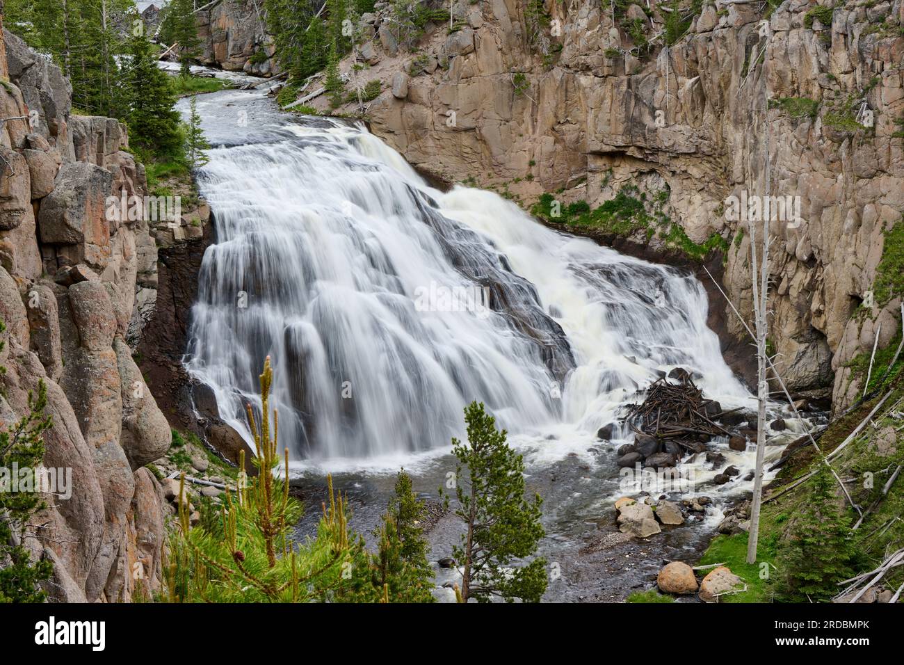 Gibbon Falls, Yellowstone National Park, Wyoming, United States of America Stock Photo