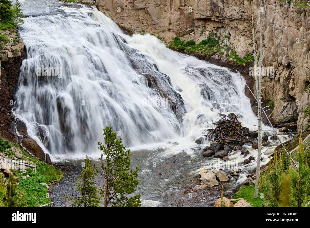 Gibbon Falls, Yellowstone National Park, Wyoming, United States of America Stock Photo