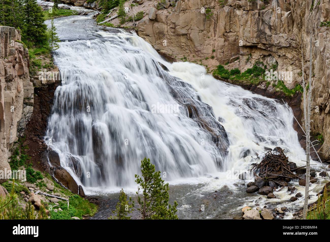 Gibbon Falls, Yellowstone National Park, Wyoming, United States of America Stock Photo