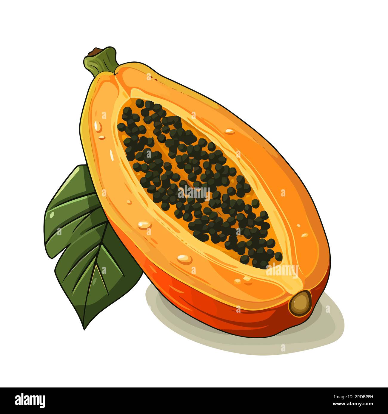 Papaya icon. Papaya image isolated. Sliced papaya in flat design