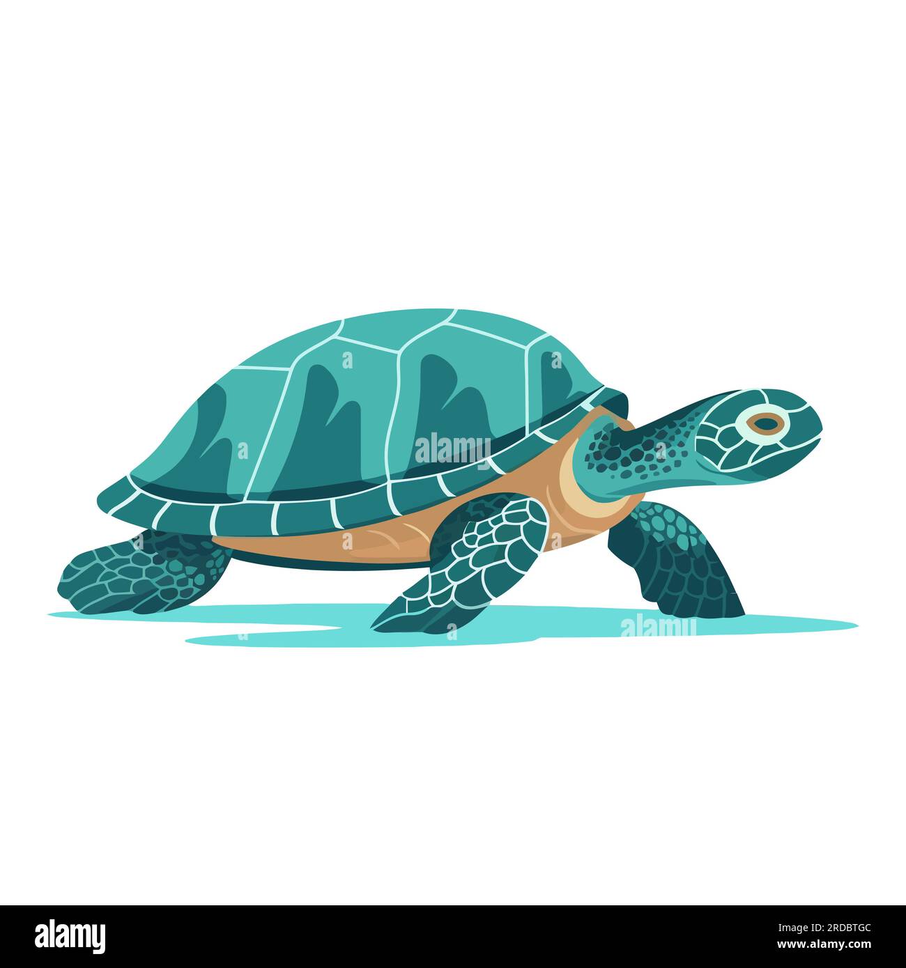 Turtle image. Abstract cute turtle. Stock Vector