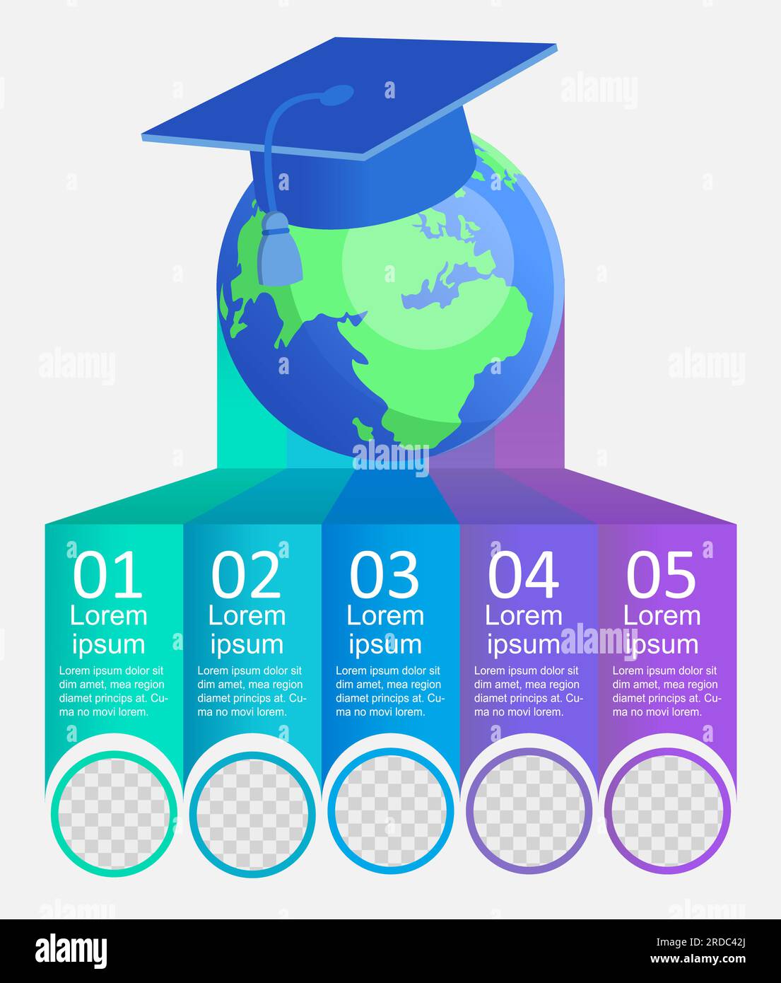 Higher Education Infographic Chart Design Template Stock Vector Image