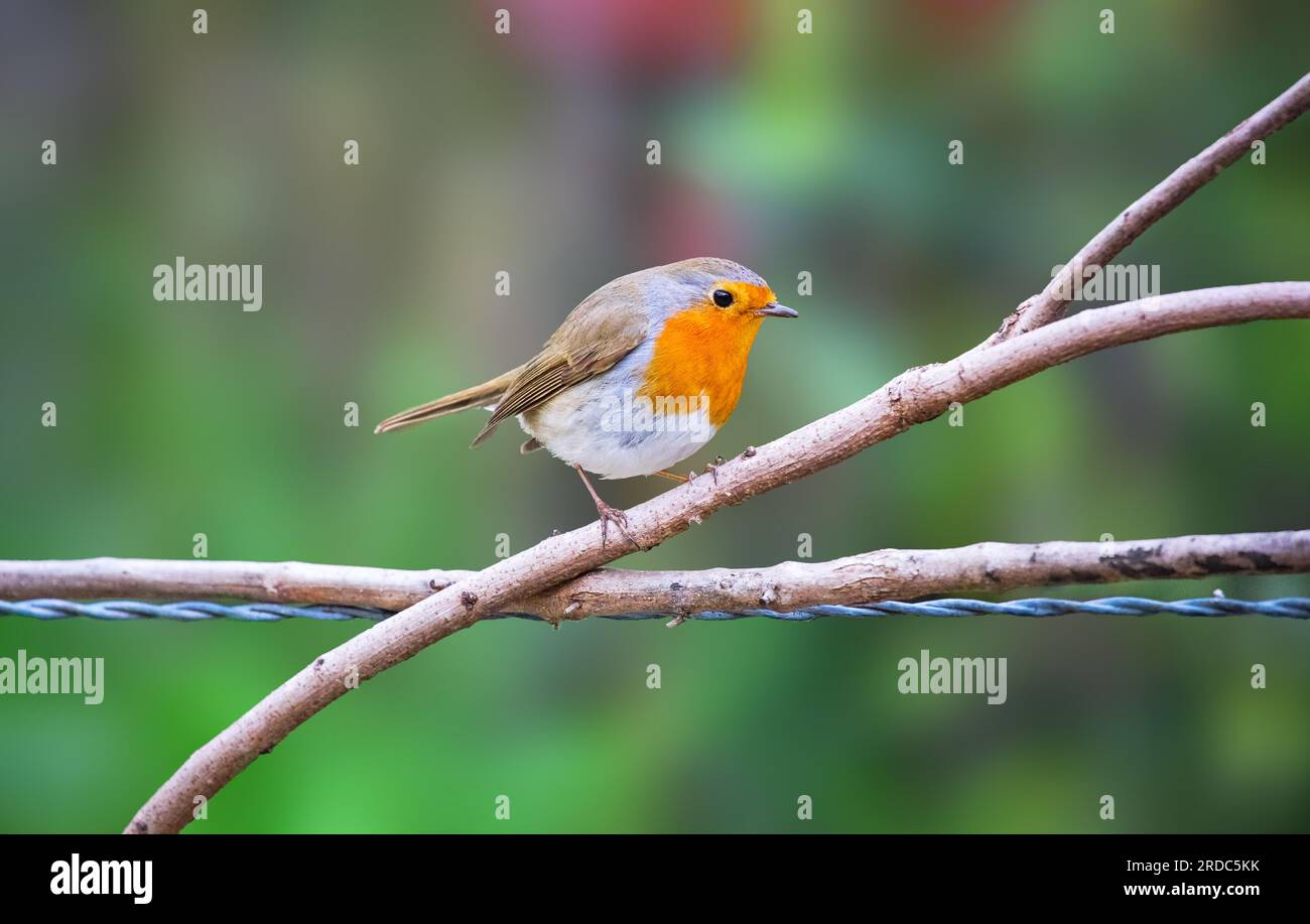 Waiting colors hi-res stock photography and images - Alamy