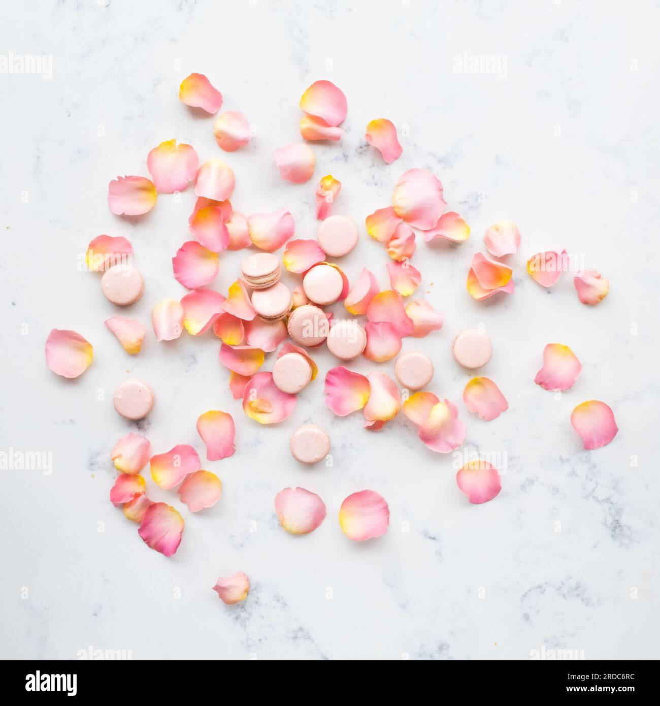 Rose macarons hires stock photography and images Alamy