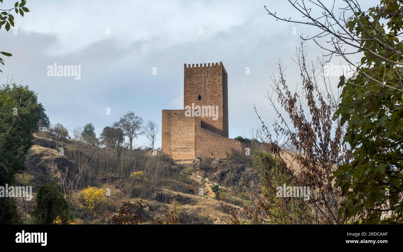 Castle of the Yedra, in the municipality of Cazorla, province of Jaen, Andalusia, Spain. Its origins could be Muslim, possibly from the Almohad period Stock Photo
