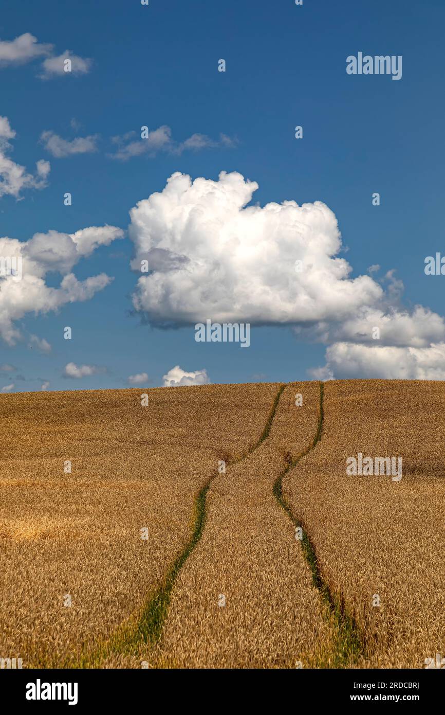 Maryhill ontario hires stock photography and images Alamy