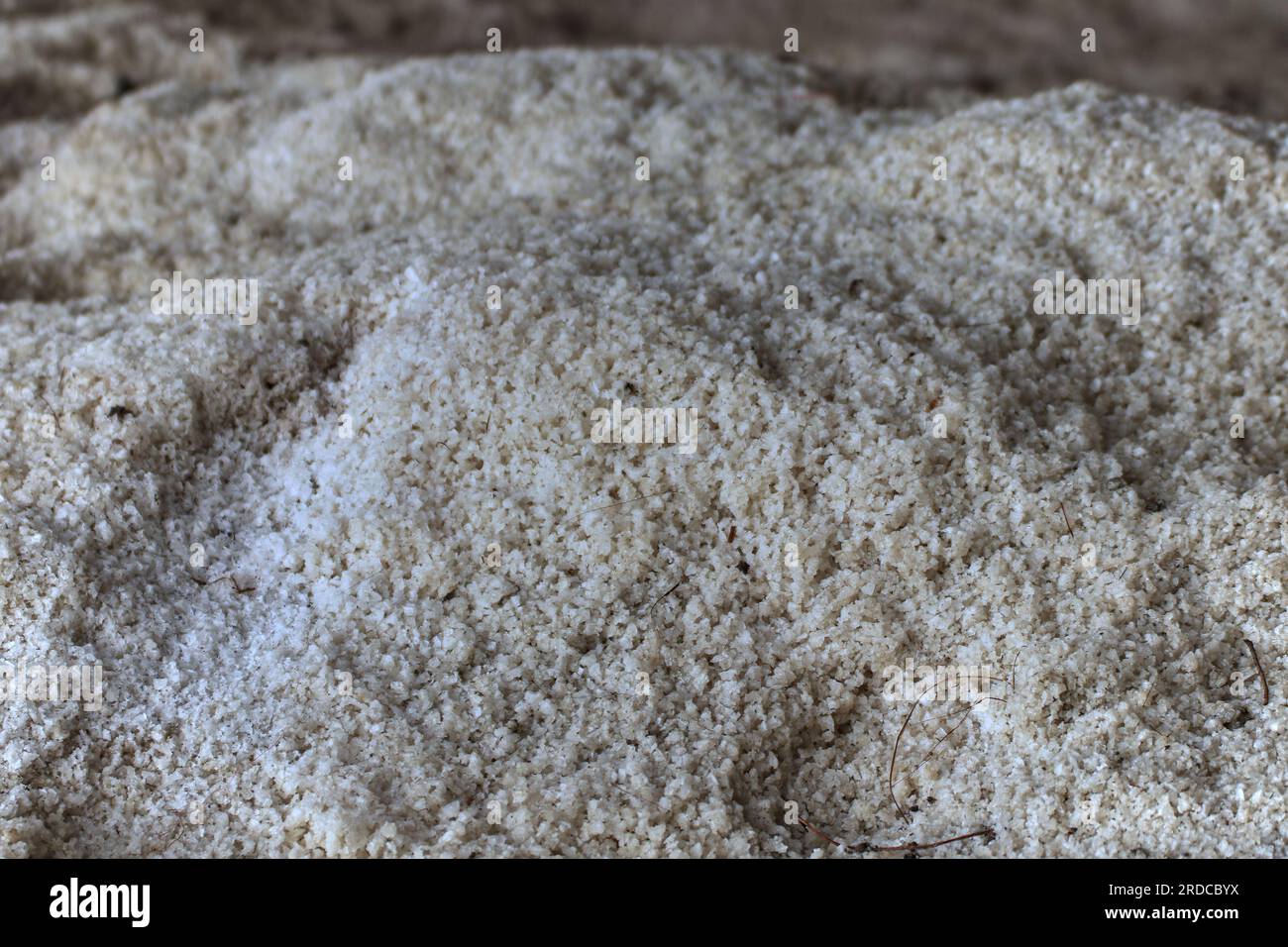 The uncrystallized salt is stored in the barn to be transported to the mill. and other related industrial plants Stock Photo