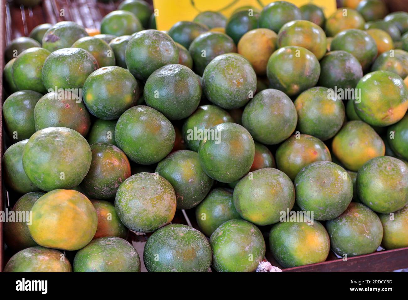 Lemons that farmers bring to sell themselves at the fresh market. for villagers in the area to buy and cook Stock Photo