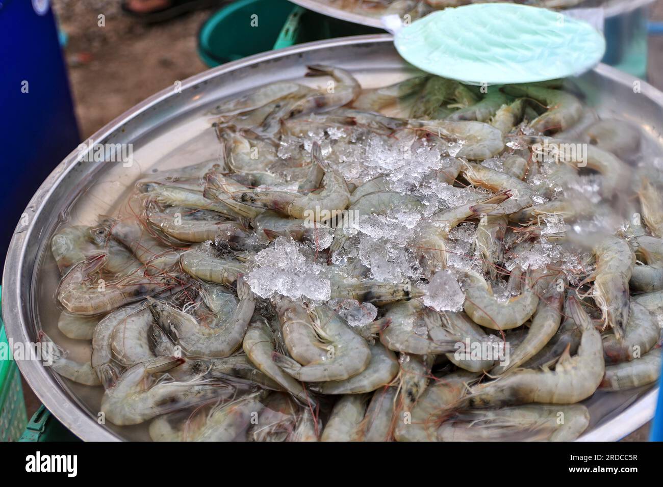 Freeze shrimp with ice to prevent spoilage. Put stainless steel trays for sale at the community market. Stock Photo