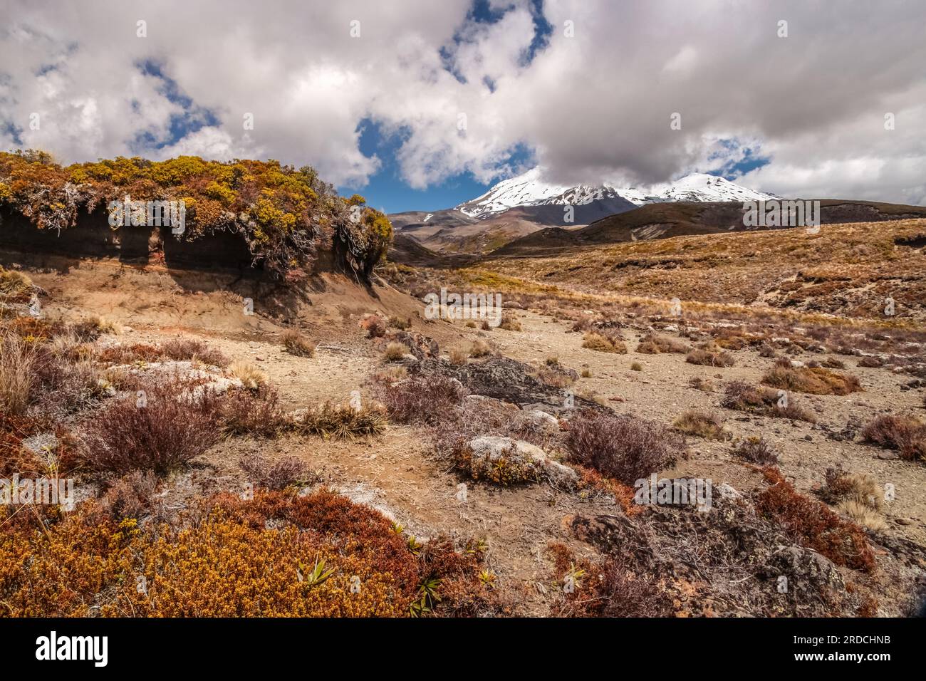 geography / travel, New Zealand, Manawatu-Wanganui, landscape in the Tongariro national park, ADDITIONAL-RIGHTS-CLEARANCE-INFO-NOT-AVAILABLE Stock Photo