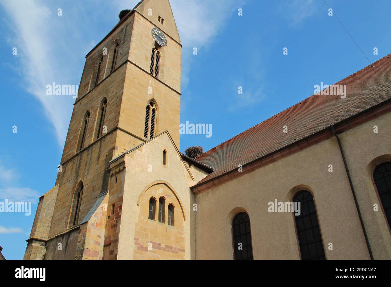 saint-pierre-et-saint-paul church in eguisheim in alsace (france) Stock Photo
