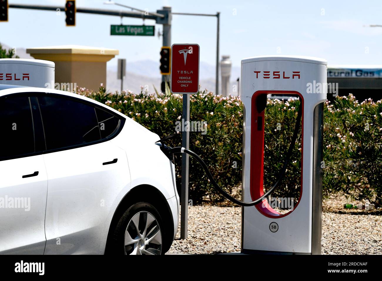 Las Vegas, USA. 13th July, 2023. Tesla drivers charge their Teslas at a