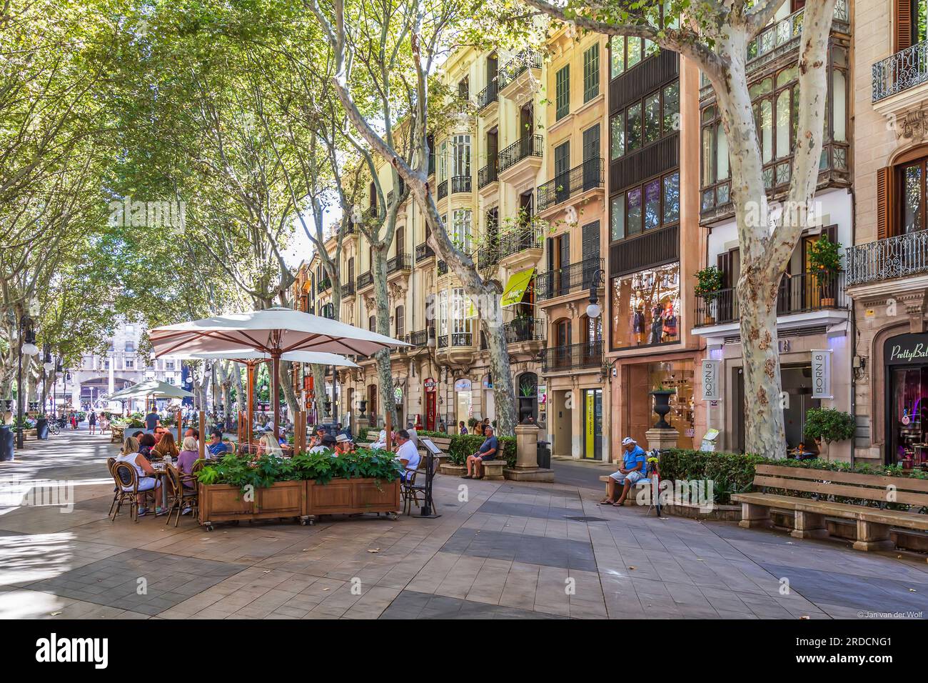 Passeig De Mallorca