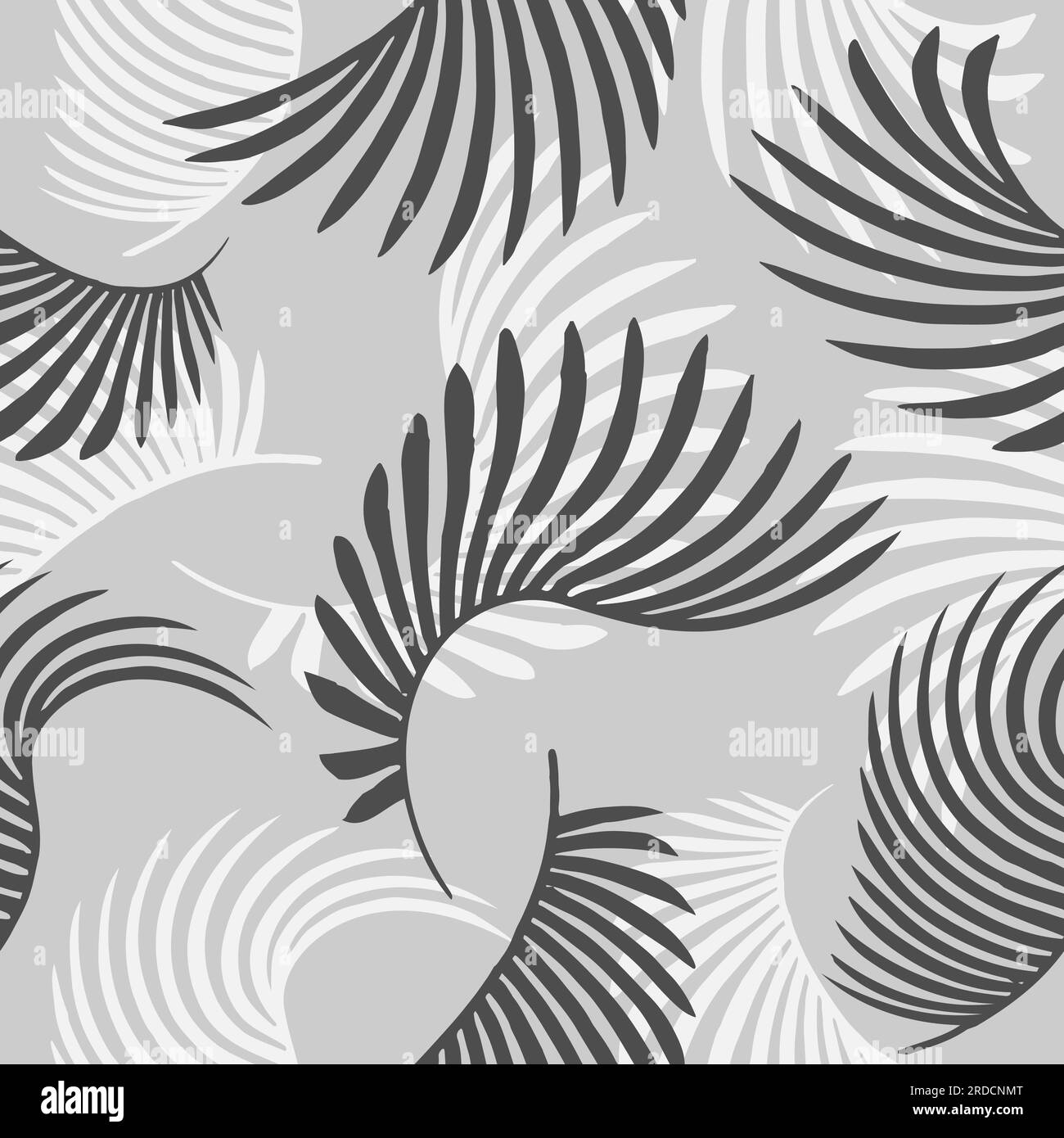 Hand drawn vector Black and white palm leaves seamless pattern set ...