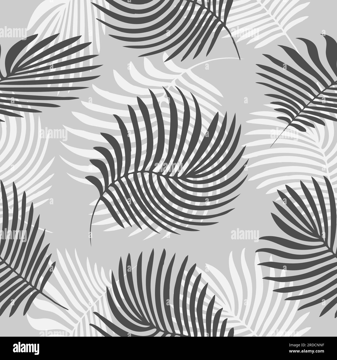 Hand drawn vector Black and white palm leaves seamless pattern set ...