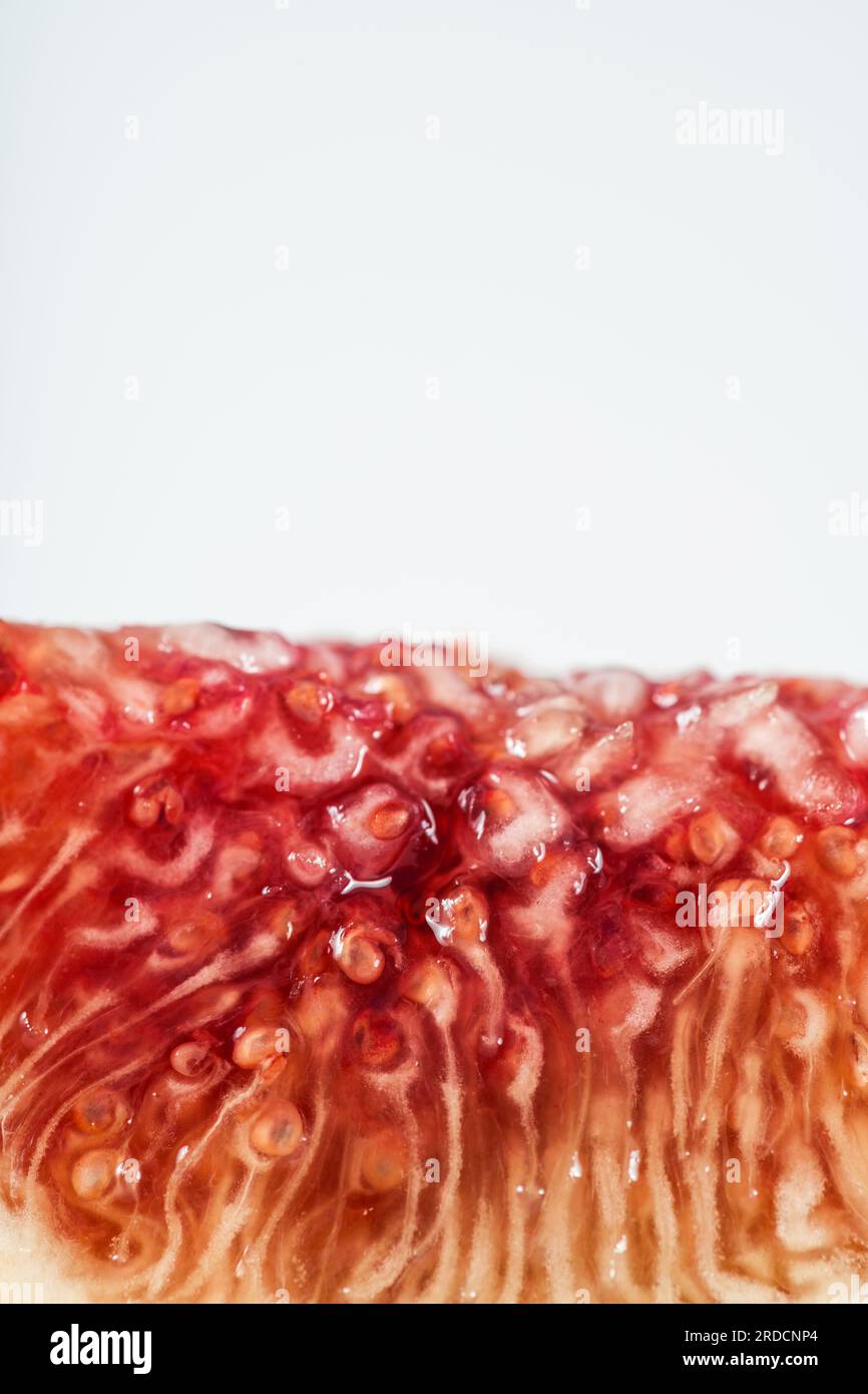 fresh ripe fig in section, mark on white Stock Photo