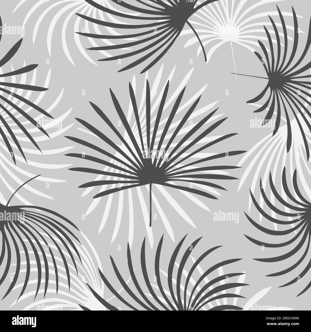 Jungle natural Black and White Stock Photos & Images - Alamy