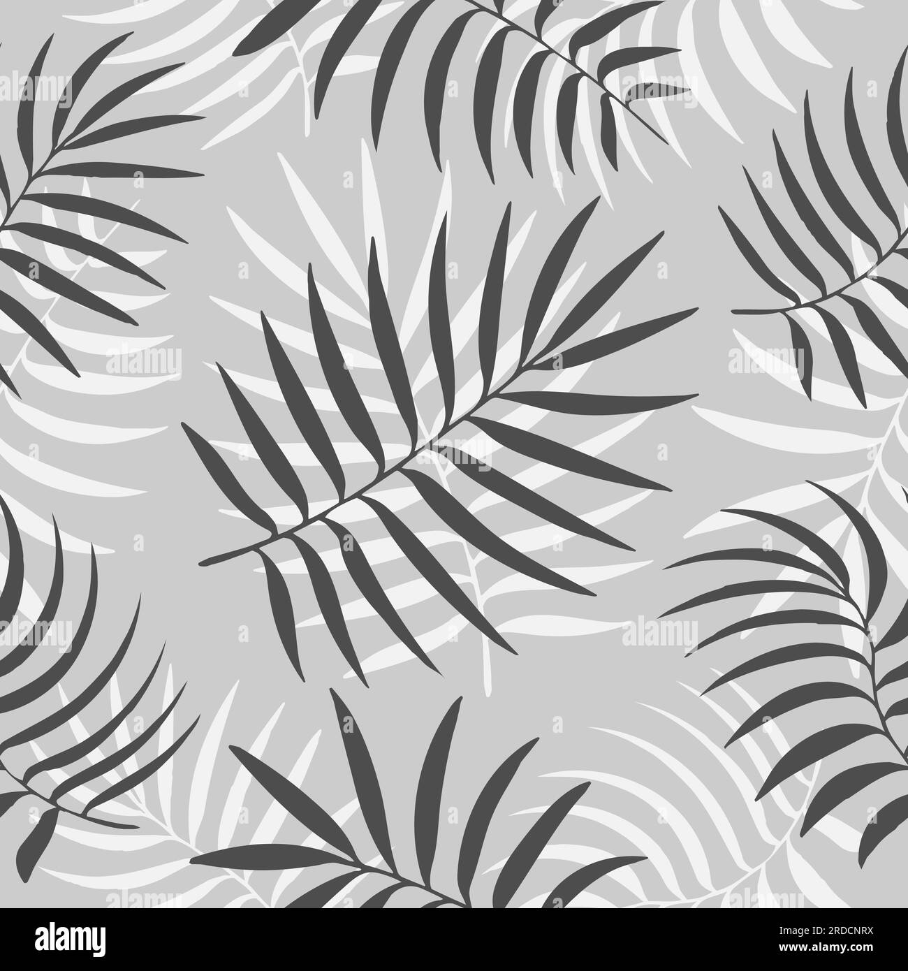 Hand drawn vector Black and white palm leaves seamless pattern set ...