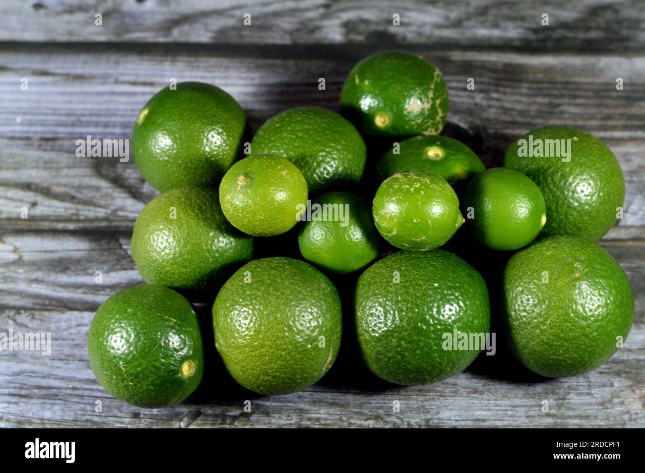 Pile of fresh green lemons, The lemon (Citrus limon) is a species of small evergreen trees in the flowering plant family Rutaceae, native to Asia, use Stock Photo
