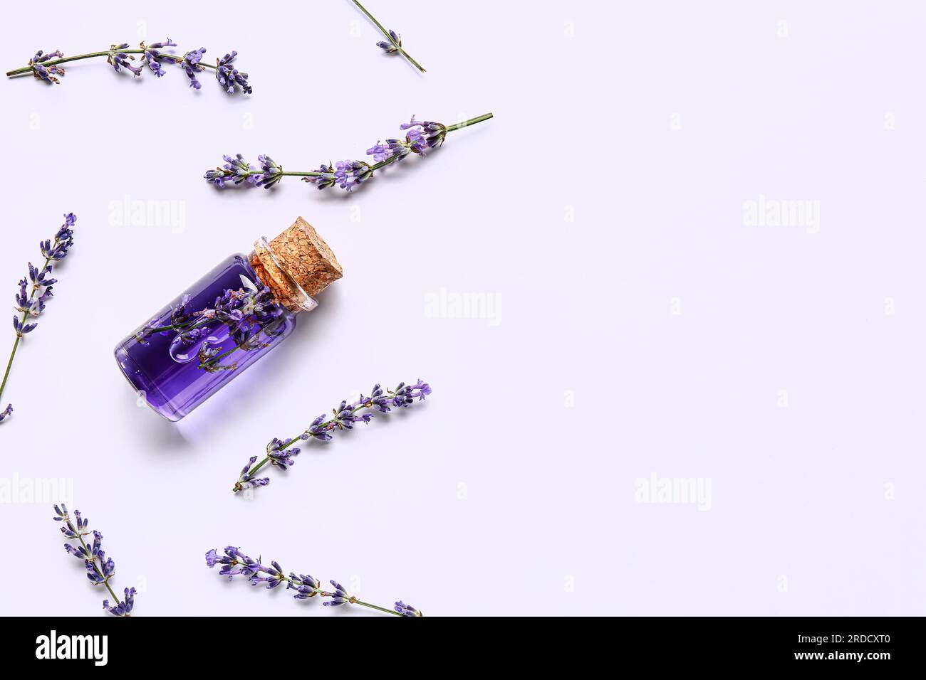 Composition with bottle of essential oil and lavender flowers isolated ...