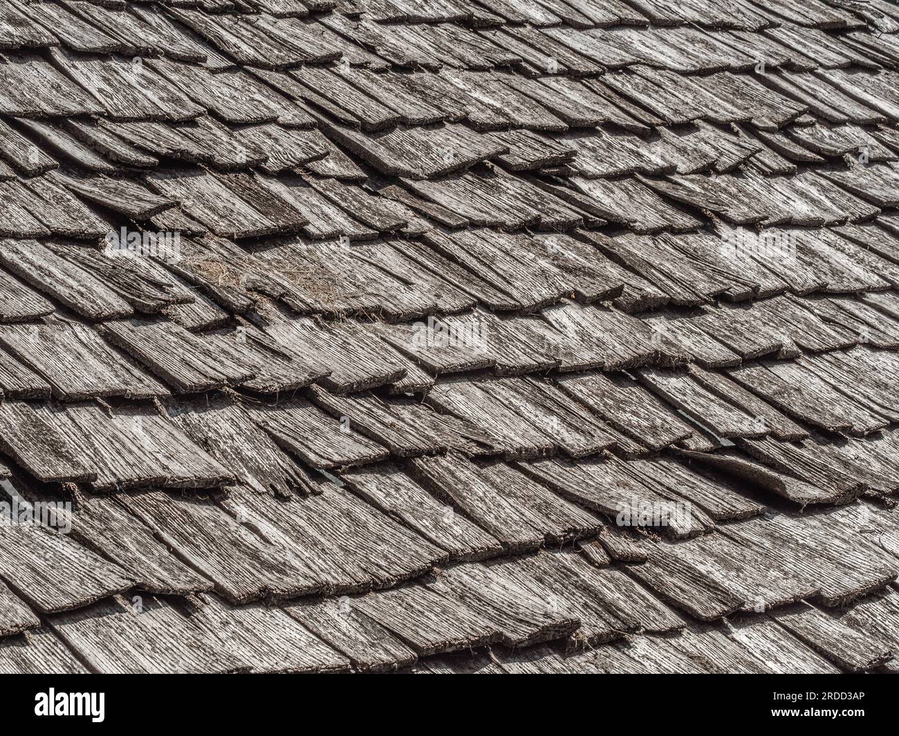 Weathered wooden roof shingles on a pitched barn roof. UK Stock Photo