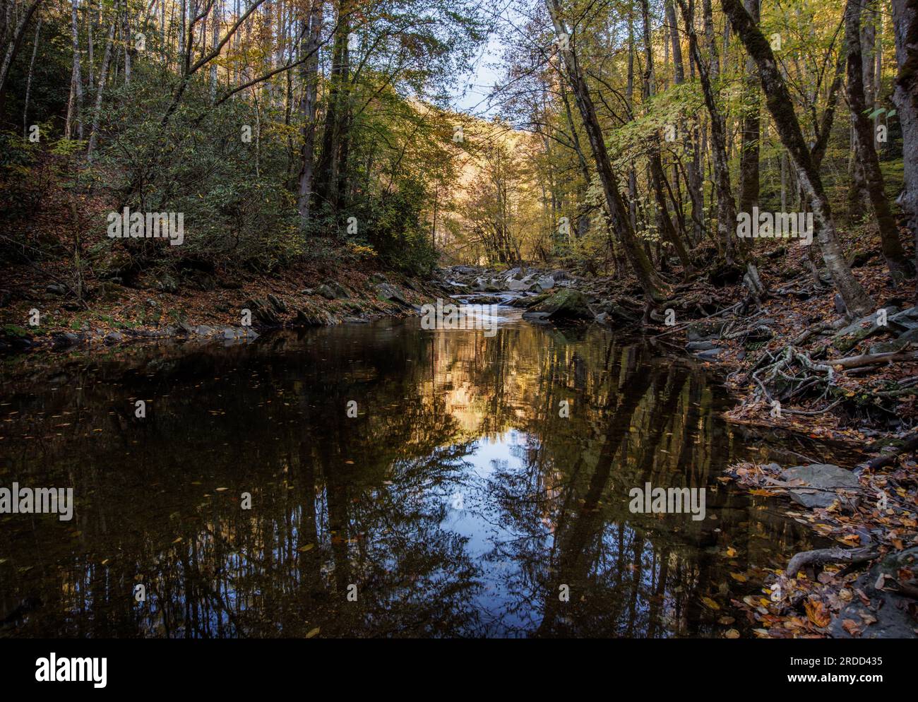 Reflections in the still surface of the Little River on a late autumn afternoon. Stock Photo