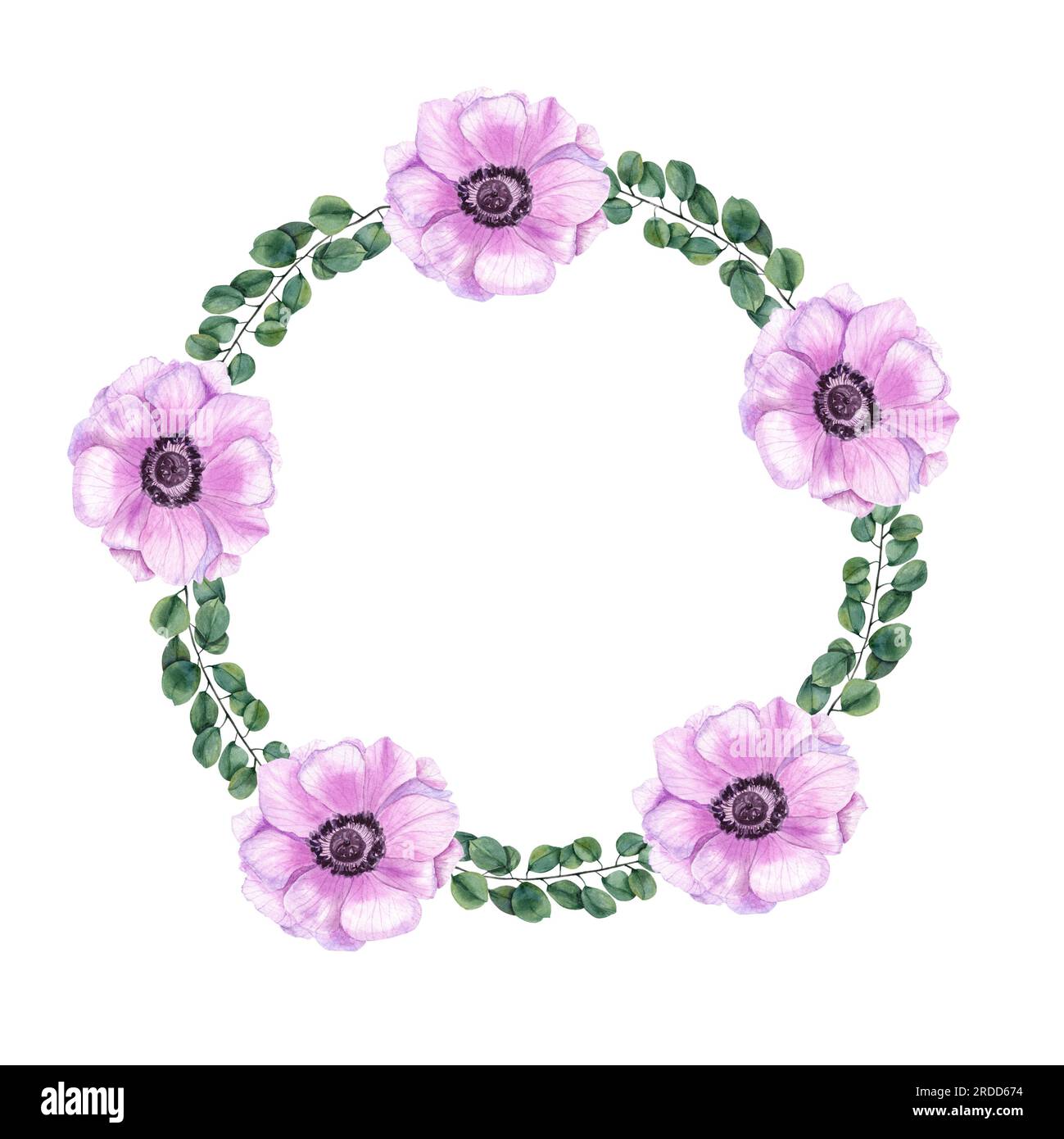 Watercolor wreath with pink anemones and eucalyptus branches. Composition isolated on white background. Botanical illustration for postcard design Stock Photo