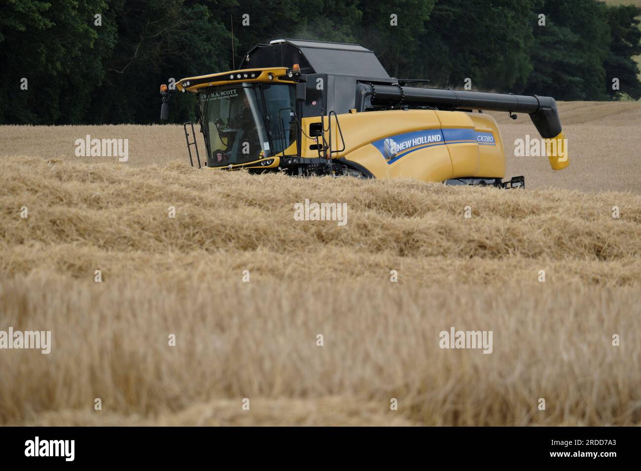 Hawick, UK. 20th July, 2023. Harvest 2023, a New Holland combine harvester, working in a field on the outskirts of Hawick, beside the A7 in the Scottish Borders on Thursday 20 July 2023. Winter Barley crop. Credit: Rob Gray/Alamy Live News Stock Photo