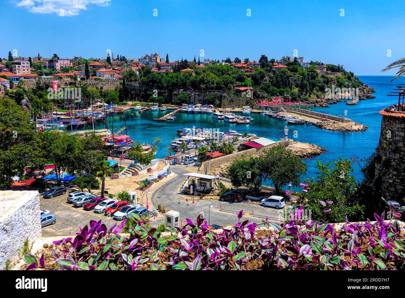 Antalya Marina Turkey With Purple Flowers And Boats And Yachts In The Antalya Marina Turkey With Purple Flowers And Boats And Yachts In The
