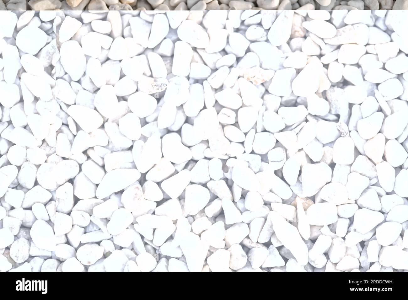Texture of white pebbles. Small stones on the ground for landscape