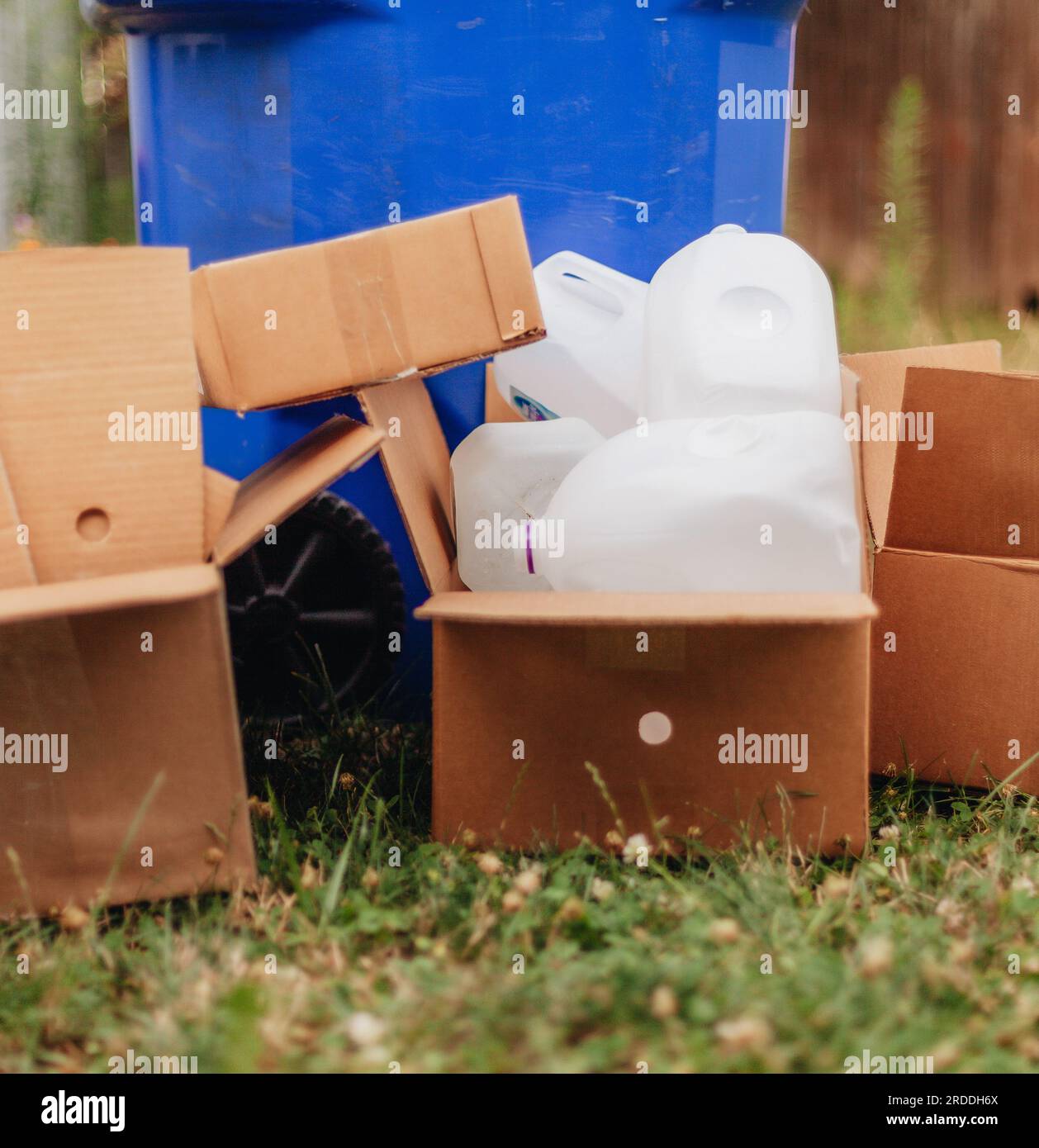Recycling and environmentally friendly, bottle caps in card board box among plastic bottles