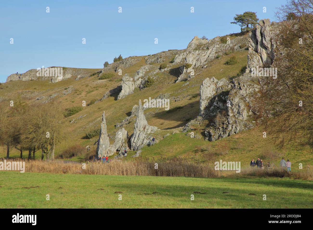 Brenztal with Steinerne Jungfrauen rock formations, Eselsburger Tal, Eselsburg, Herbrechtingen, Swabian Jura, Baden-Württemberg, Germany Stock Photo